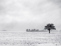 風景qq頭像,精選QQ頭像風景美學之旅
