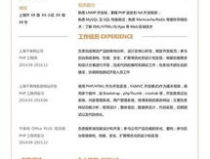 個人簡曆模板免費下載,職業生涯亮點與成就概覽