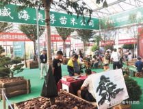 苗木展會,苗木花卉產業交流新篇章