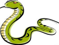 男盜女娼是什麽生肖,揭秘“男盜女娼”與生肖的神秘關聯