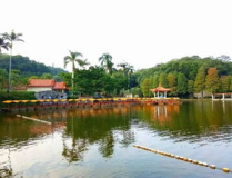 仙湖植物園公交,公交出行攻略，暢遊植物王國”