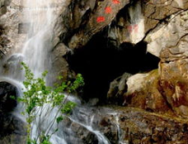 網友爆料吉首花果山現狀,綠意盎然，休閑娛樂新地標