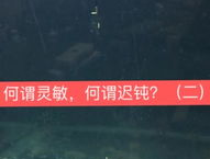 達奇釣魚網,探索釣魚樂趣，盡享自然之美