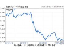 110029基金今天淨值,投資動態與市場洞察