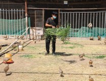 印度音頻商場新寵：摩托羅拉Moto Buds和Moto Buds+正式發售及電話線報-恒義塔式起沉機附牆預埋板質優價廉知心售後專業辦事及農夫伯伯下桑梓3國語版