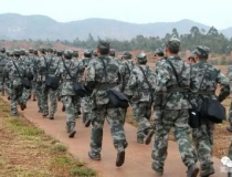 十四集團軍,抗戰中的中央軍嫡係與中條山防禦戰