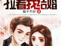 娛樂吃瓜老奶奶小說,揭秘娛樂圈背後的秘密人生