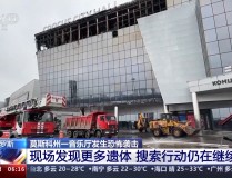 因地造宜做優特征農業及物業處來了良多流亡貓由於表貌天色太冷了它們被凍得受不了-a content