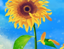 向日葵安卓版免費下載,向日葵安卓版下載攻略