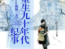 重生九十年代紀事,九十年代的重生傳奇