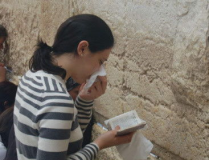 娛樂吃瓜君廚子,揭秘娛樂圈背後的美食故事