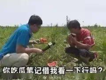 晉江娛樂圈吃瓜文,揭秘幕後真相，吃瓜群眾狂歡時刻