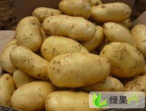 馬鈴薯價格,市場供需與價格走勢深度解讀