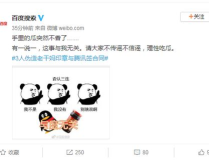 柒柒娛樂吃瓜,揭秘網紅圈層，深度解析“吃瓜”文化現象