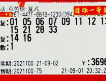 雙色球100,曆史數據解析與未來趨勢展望